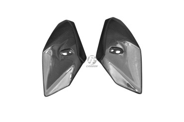 Carbon Frontverkleidung Seitenteile für BMW S1000R 2014-2020 