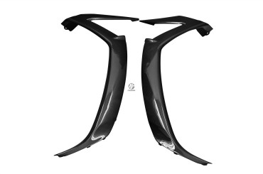 Carbon Frontverkleidung Seitenteile für Kawasaki ZX-10R 2011-2018 