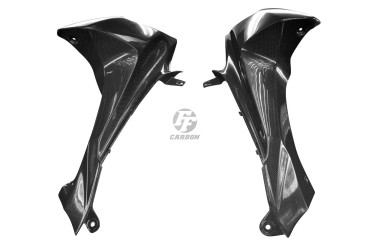 Carbon Frontverkleidung Seitenteile für Suzuki GSX-R 1000 2009-2015 Carbon+Fiberglas | Leinwand | Glossy