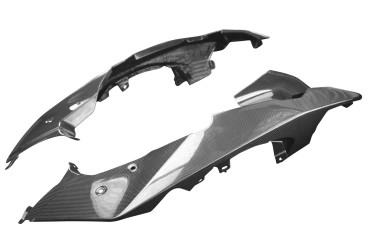 Carbon Frontverkleidung für BMW R 1200 GS Adventure 