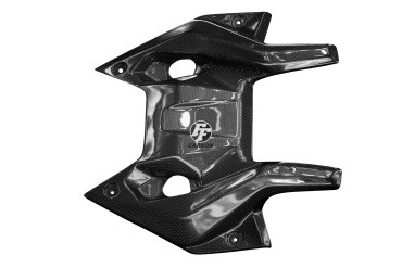 Carbon Frontverkleidung für BMW R 1200 RS 2015- 