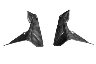 Carenado Frontal Carbono por BMW R1200 GS/ 1250 GS 2017-2019 Carbono+Fibra de Vidrio | Patron Sencillo | Brillante
