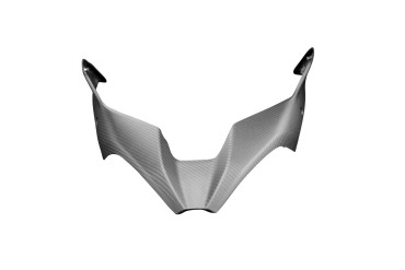 Carbon Front Fairing for Ducati Multistrada V4 2021- 