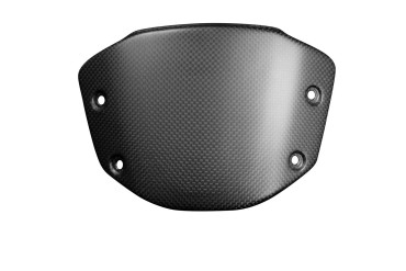 Rivestimento frontale Carbonio per Honda CB 1000 R 2021- Carbonio+Fibra di Vetro | Tela | Opaco