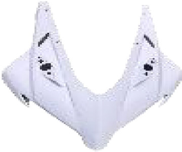 Carbon Frontverkleidung für Honda CBR 250 R 2023- 
