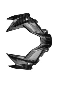 Carbon Frontverkleidung für Kawasaki Z H2 2020- 