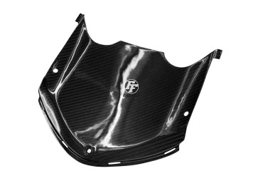 Rivestimento frontale Carbonio per Kawasaki ZZR 1400 / ZX-14R 2011-2015 Carbonio+Fibra di Vetro | Tela | Brillante
