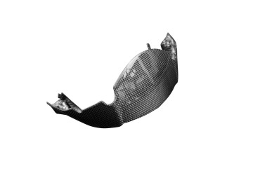 Carenado Frontal Carbono por Triumph Street Triple 765RS 2016-2021 