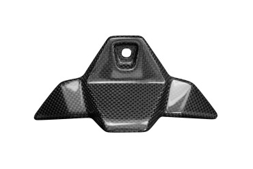 Carbon Frontverkleidung über Scheinwerfer für BMW S 1000 R 2021- Carbon+Fiberglas | Leinwand | Glossy