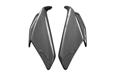 Carenatura anteriore sotto i fari Carbonio per Aprilia RSV4 2021- / RSV4 Factory 2021- 