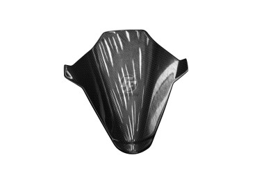 Carbon Front Fairing below Windshield for BMW S 1000 RR 2019- / M 1000 RR 2021- 