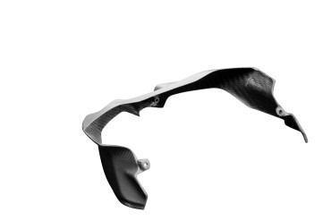 Carbon Frontverkleidung (unteres Teil) für Ducati Streetfighter V4 Carbon+Fiberglas | Leinwand | Matt