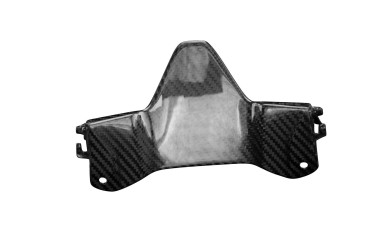 Carbon Frontverkleidung (unteres Teil) für Kawasaki Z900 2020- 