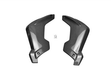 Carbon Gabelverkleidung für BMW K1300R 