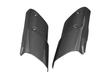 Carbon Gabelverkleidung für Kawasaki Z1000 2010-2013 
