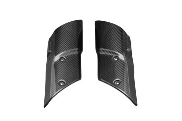 carenatura forcella Carbonio per Kawasaki Z1000 2010-2013 Carbonio+Fibra di Vetro | Spigato | Brillante