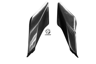 Carenatura laterale posteriore Carbonio per BMW R 1200 RS 2015- Carbonio+Fibra di Vetro | Tela | Brillante