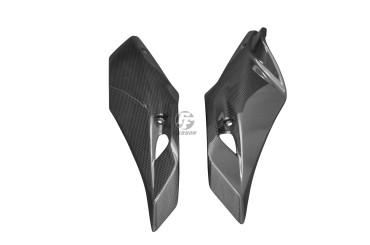 Carénage latéral arrière Carbone pour BMW R1200R 2015 