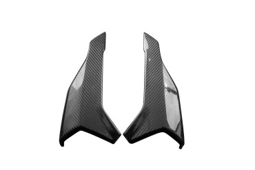 Carbon Rear Side Fairing for BMW S 1000 R 2021- 