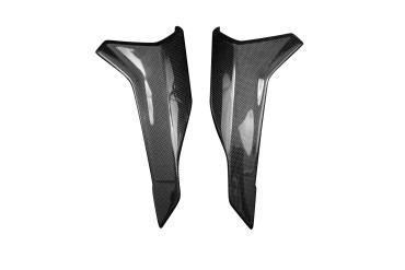 Carenatura laterale posteriore Carbonio per BMW S 1000 R 2021- Carbonio+Fibra di Vetro | Tela | Brillante