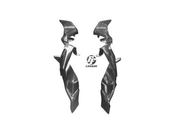Carbon Heck Seitenverkleidung für BMW S1000XR 2014-2019 