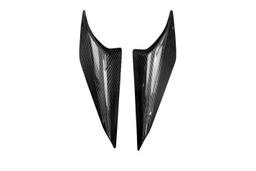 Carbon Heck Seitenverkleidung für Ducati Monster 937 2021- Carbon+Fiberglas | Köper | Glossy