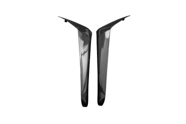 Carenatura laterale posteriore Carbonio per Kawasaki ZX-6R 2019- 