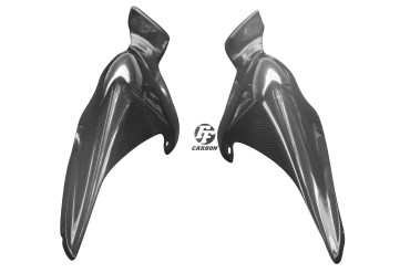 Carenatura laterale posteriore Carbonio per MV Agusta Brutale 750 / 910 / 989R / 1078RR 
