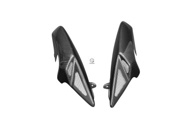 Carenatura laterale posteriore Carbonio per Triumph Speed Triple 1050 2008-2010 