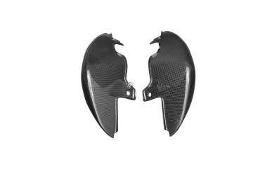 Carbon Heck Seitenverkleidung für Triumph Speed Triple 2011-2015 