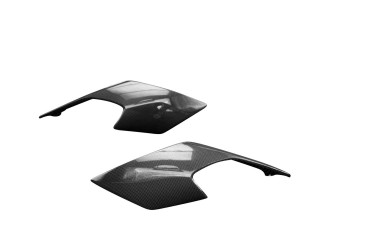 Carbon Heck Seitenverkleidung für Triumph Street Triple 2020- Carbon+Fiberglas | Leinwand | Glossy