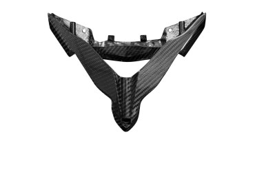 Arco de rueda (luz trasera) Carbono por Kawasaki Ninja H2 2015-2018 