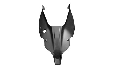 Carbon Underseat Tuning for Ducati Panigale V4 /V4S /V4R 2019-2020 /V4 SP 2021- Carbon+Fibreglass | Plain Weave | Matt