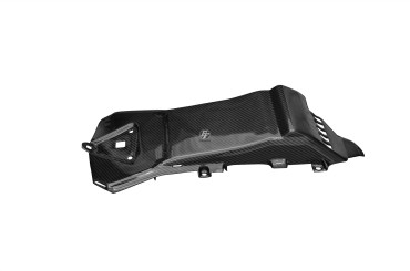 Carbon Underseat for Aprilia RSV4 2009-2020 / Tuono V4 Factory 2016-2020 