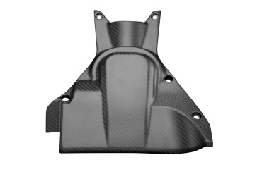 Carbon Heck Unterverkleidung für Ducati Diavel 2010-2018 Carbon+Fiberglas | Köper | Matt