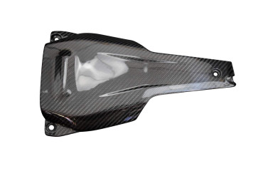 Posteriore sotto la carenatura Carbonio per Ducati Hyptermotard 698 Mono 2024- 