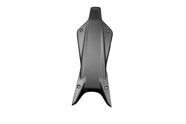 Carbon Heck Unterverkleidung für Ducati Monster 937 2021- 
