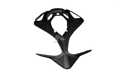 Carbon Heck Unterverkleidung für Ducati Panigale 959 / 1299 