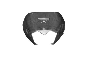 Posteriore sotto la carenatura Carbonio per Kawasaki ZX10R 2008-2009 Carbonio+Fibra di Vetro | Tela | Brillante