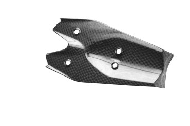 Passage de roue Carbone pour Triumph Speed Triple 1200 RS / RR 2021- 