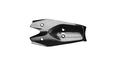 Carbon Underseat for Triumph Speed Triple 1200 RS / RR 2021- 100% Carbon | Twill Weave | Glossy