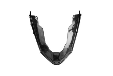 Carbon Heckverkleidung (Dopppelsitz) für Ducati Panigale V4/V4S 2020-2021 / V2 / Streetfighter V4 