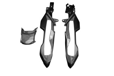 carenatura posteriore (Impostata) Carbonio per BMW S1000XR 2020- 