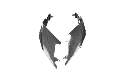 Carbon Heckverkleidung für Aprilia RS 660 2020- / Tuono 660 2021- 