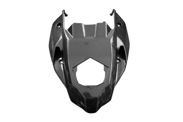 Carbon Rear Fairing for BMW S 1000 R 2021- 