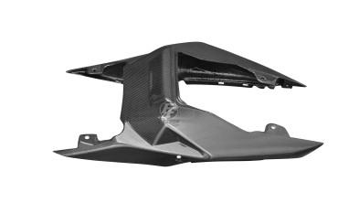 Carbon Heckverkleidung für BMW S1000R 2014-2020 