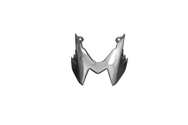 Carbon Heckverkleidung für BMW S1000R 2014-2020 
