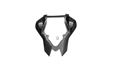 Coque arrière Carbone pour BMW S1000RR 2010-2014 