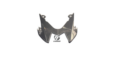 carenatura posteriore Carbonio per BMW S1000RR 2015- Carbonio+Fibra di Vetro | Tela | Brillante
