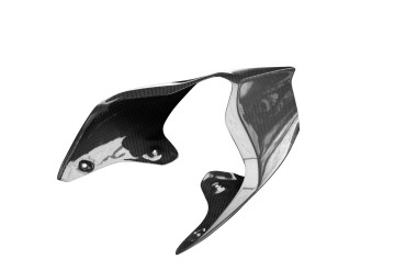 carenatura posteriore Carbonio per Ducati Panigale V4/V4S 2020- / V4R 2019-2020 / V4 SP 2021- 